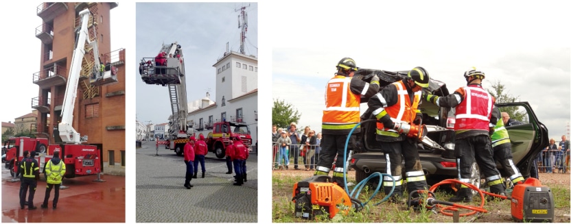 servicios formacion down